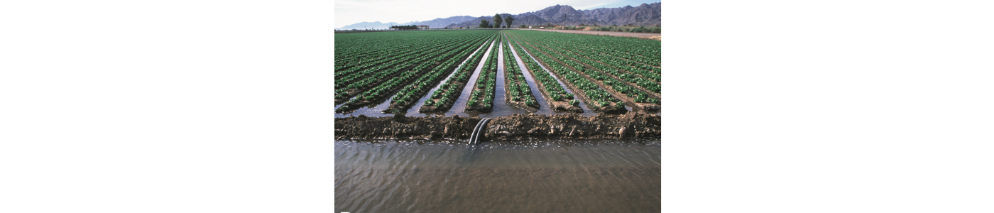 Irrigation — Wikipédia