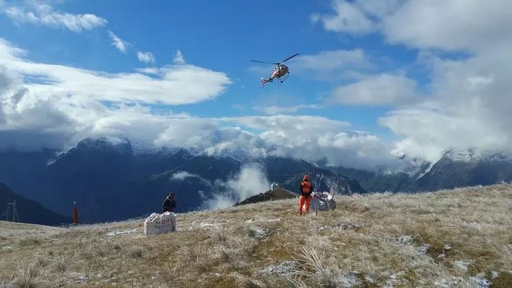Hautes-Alpes : des morceaux de prairies déplacés pour se préparer au réchauffement climatique