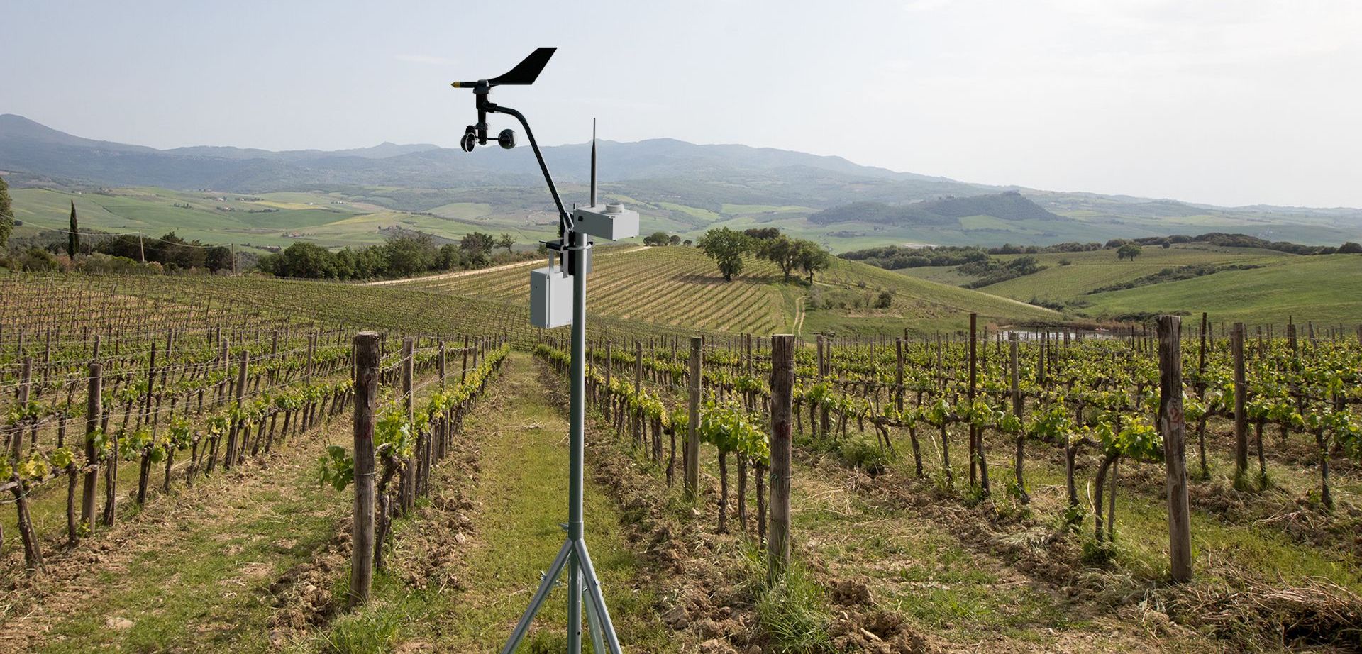 Faciliter le pilotage des irrigants et accélérer la transition vers une irrigation raisonnée : Sencrop lance Solarcrop, la première solution d'irradiance accessible à tous !