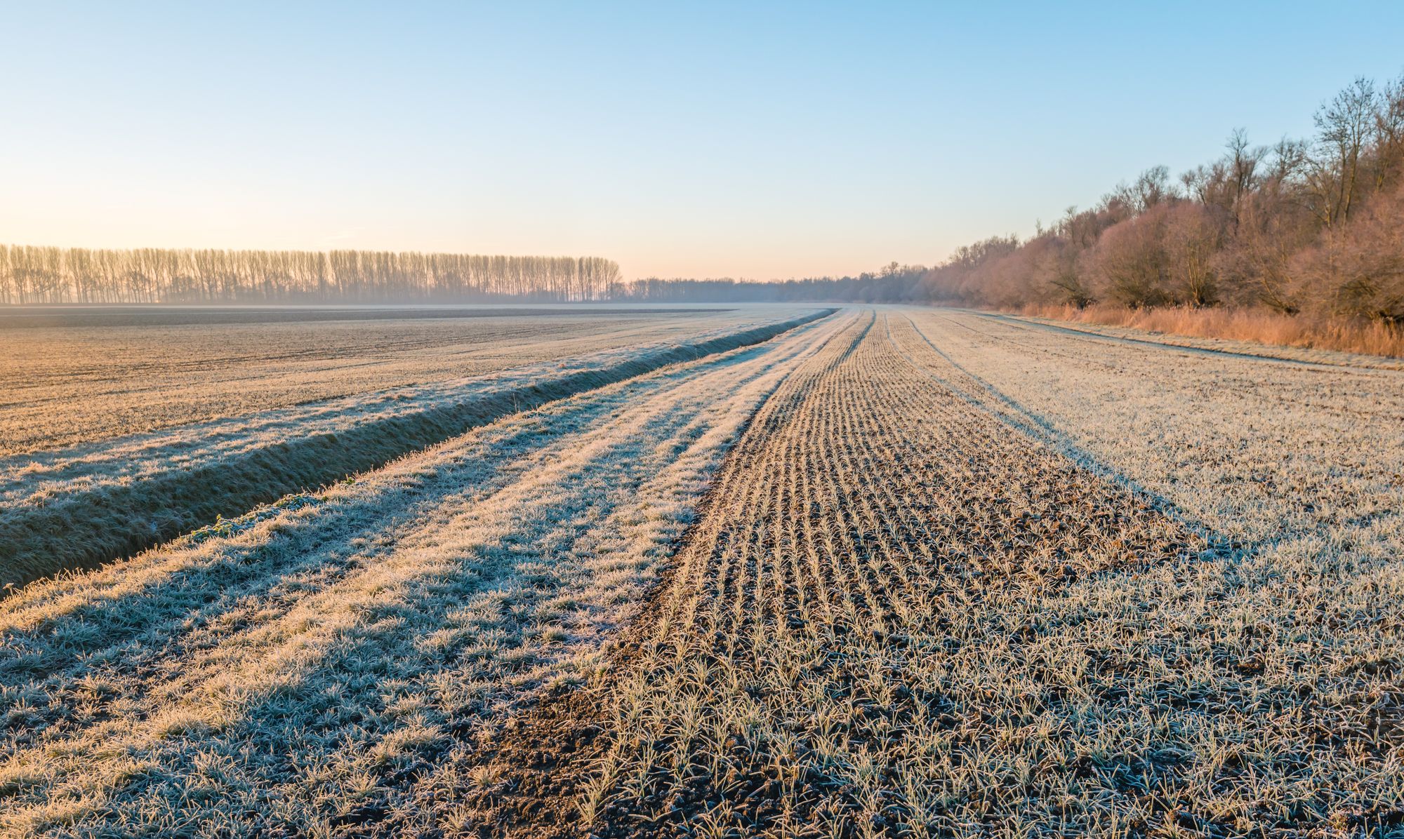 Des températures hivernales aux bienfaits agricoles