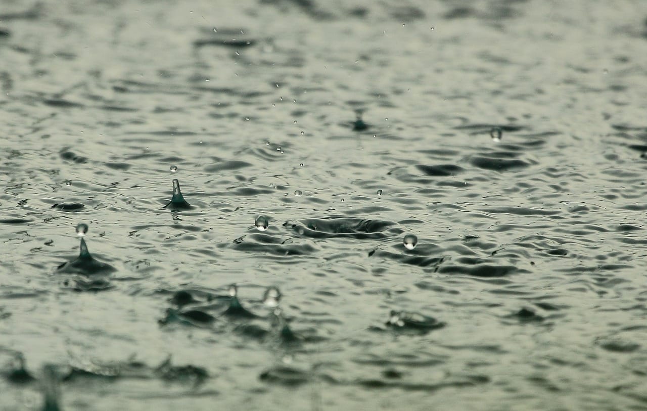 Nappes phréatiques : un niveau d’eau très satisfaisant… et inquiétant ?