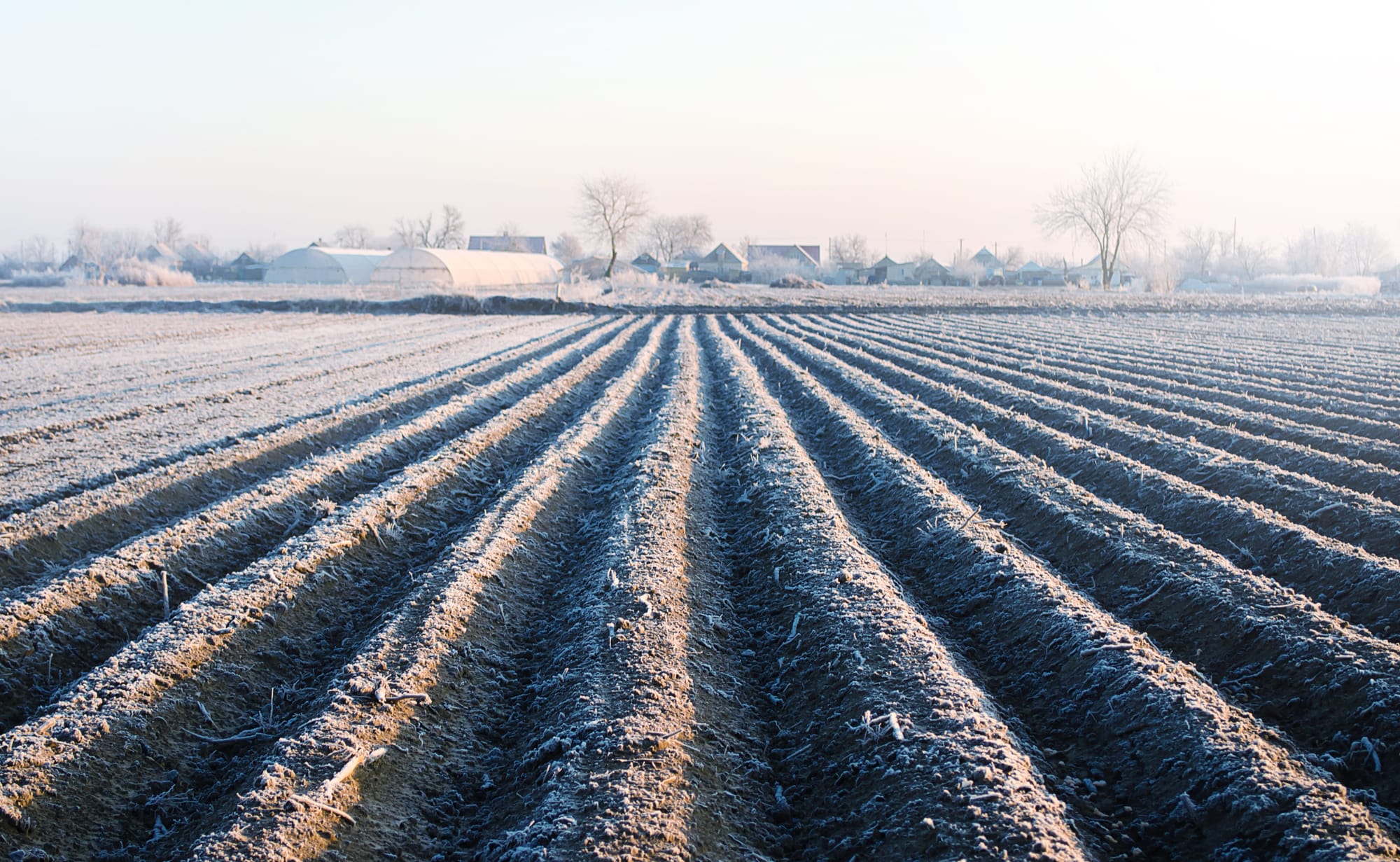 Notre hiver sera-t-il froid en France ?