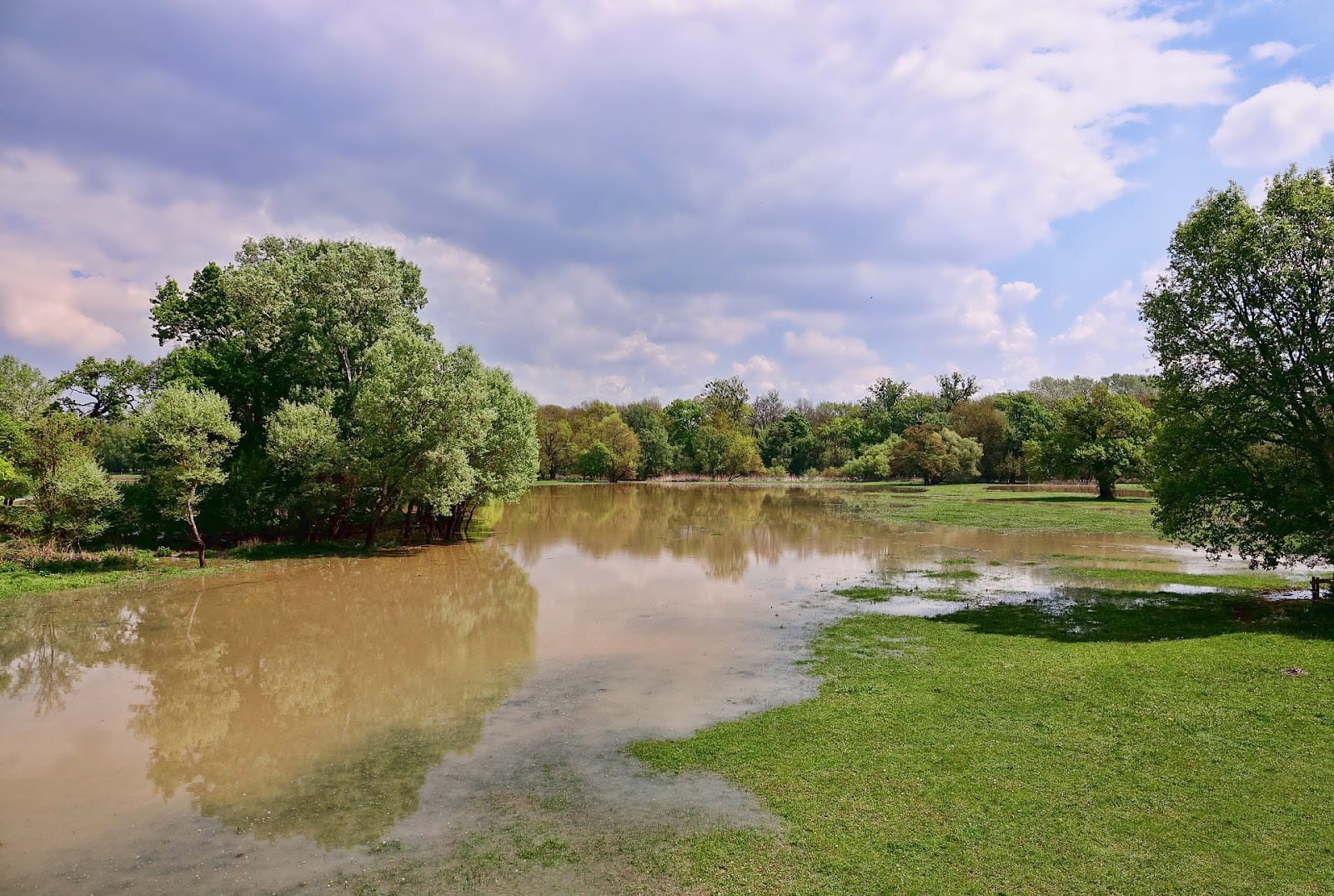 L’automne 2024 sous la pluie et la (grande) douceur