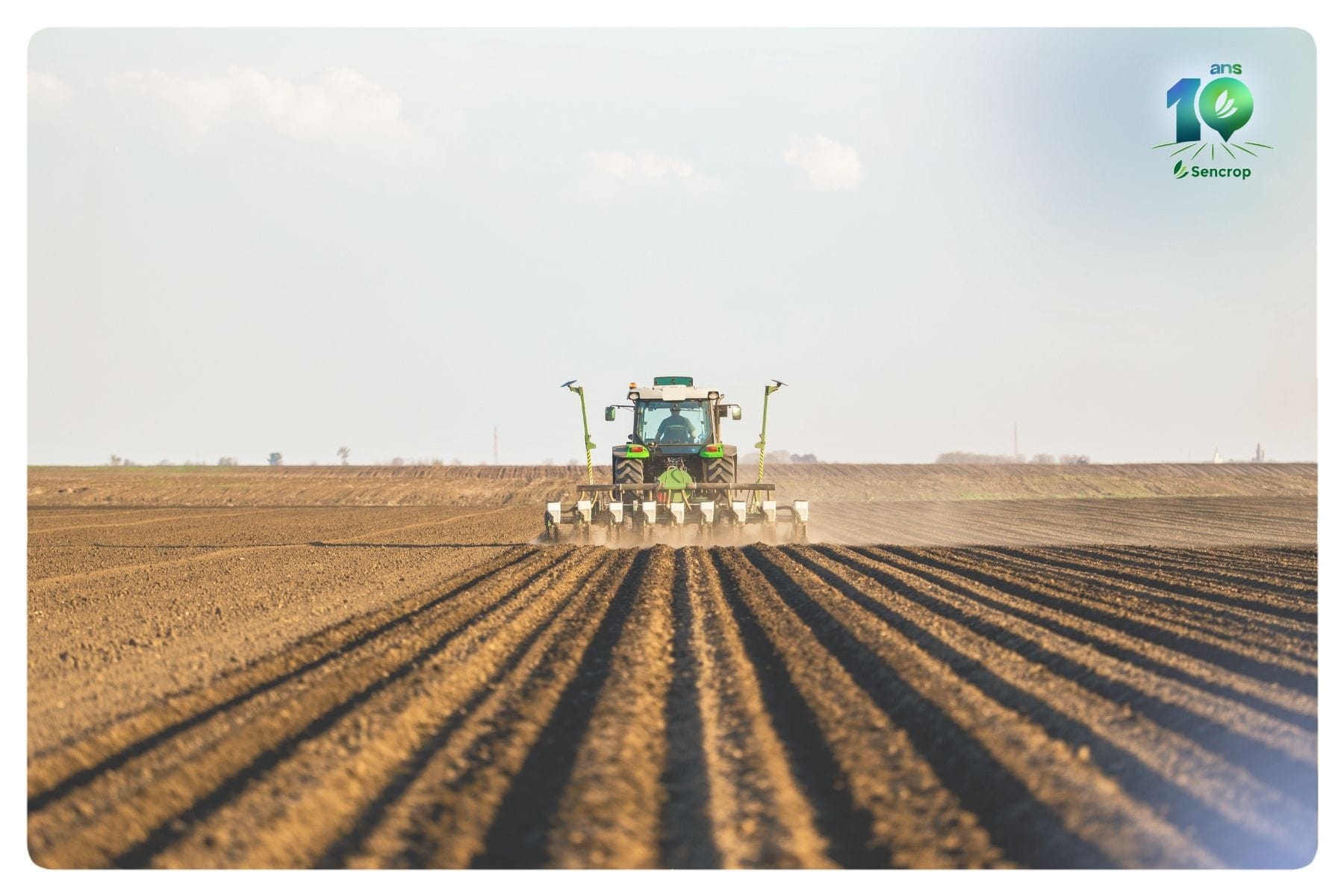 Semis de printemps : pourquoi la météo locale change tout