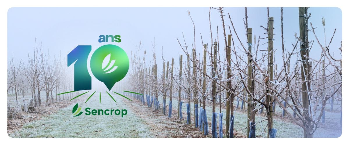 Gel de printemps : comment anticiper, décider et protéger ses cultures ?