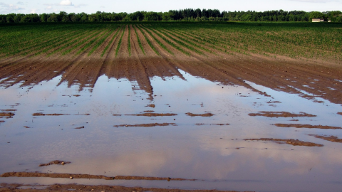 Juillet 2021 : la pluie a gagné le match face au soleil