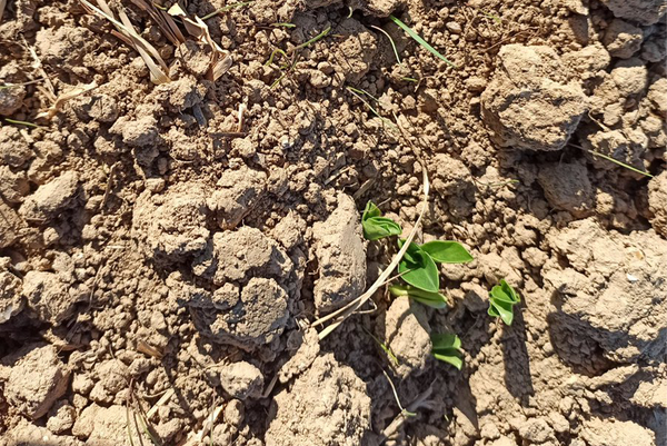 La pluie, la grande absente depuis plusieurs semaines