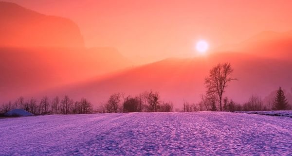 Printemps 2021 : de l’hiver à l’été