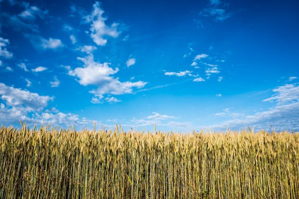 “La régularité climatique appartient au passé”