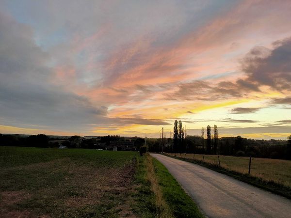 Royaume-Uni : des rendements à la baisse pour 2020