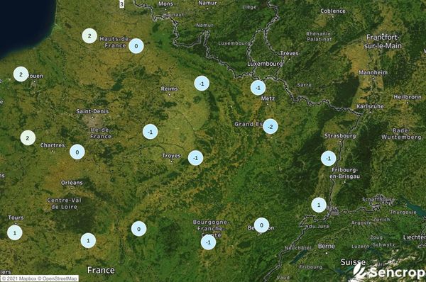 Nord-Est : premières gelées observées ce week-end