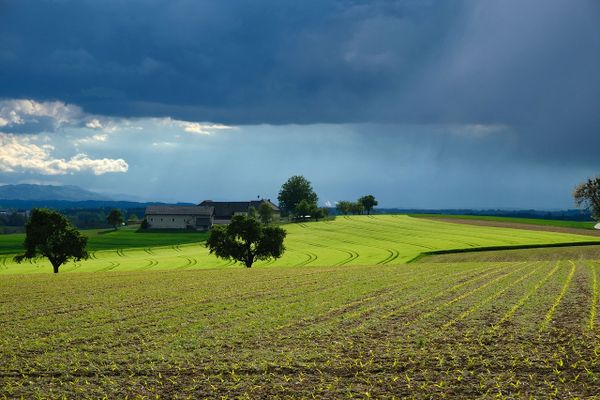 Jusqu’à 300mm de pluies attendus dans le Sud-Est ce week-end