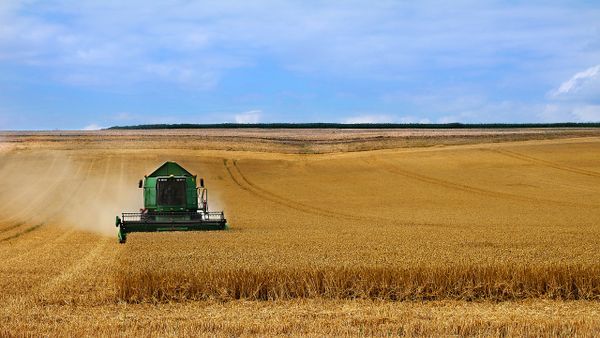 2021 : les céréaliers ont pris l’eau, la moisson fortement impactée