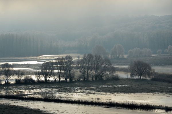 Des agriculteurs touchés par les inondations dans le Sud-Ouest