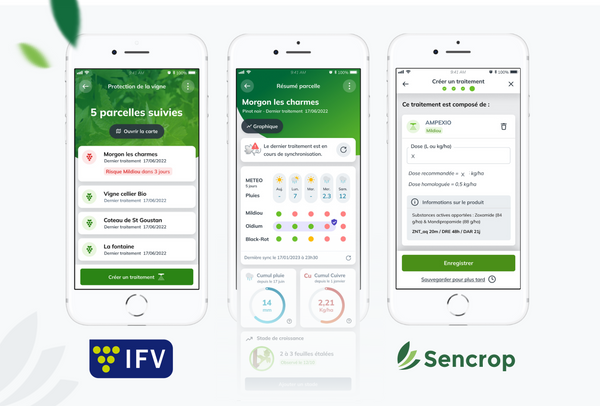 Sencrop centralise sur son appli mobile  l’OAD de l’IFV pour la protection de la vigne : DeciTrait®