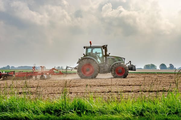Printemps 2025 : très chaud en Bretagne et Normandie, 3ème place au niveau national